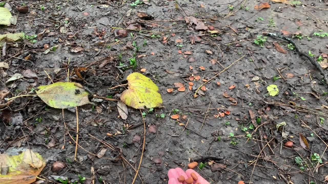 Arrête de me regarder 🤩 😂 mange avant que ça refroidisse