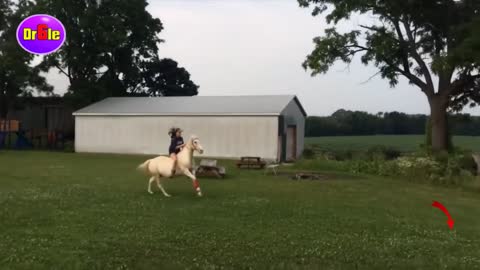 😂 FUNNY HORSE VIDEO TO DIE OF LAUGHING fasten your seatbelt