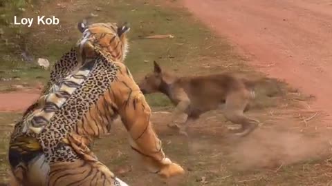 Wow!! Funny Fake Tiger Prank Dog - why prank me / Very Funny Video in 2021