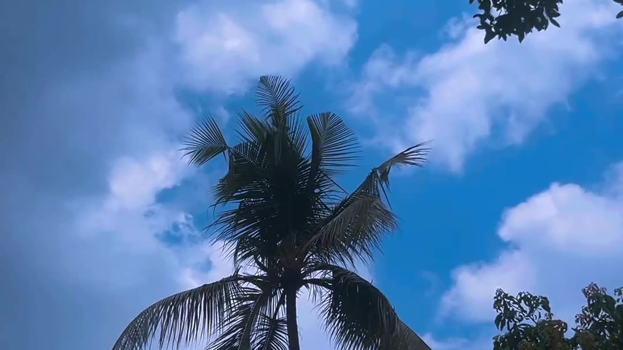 आम्ही कोकणकर 🌴🧉🌴❤️