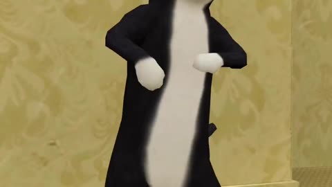 Cat Dances