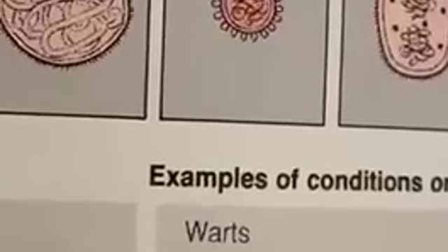 Libro di medicina Coronavirus