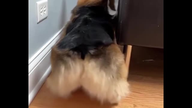 Vejamos, se um estranho lhe pedir para entrar em sua van, você faria?