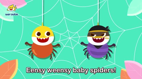 Eensy weensy baby spiders