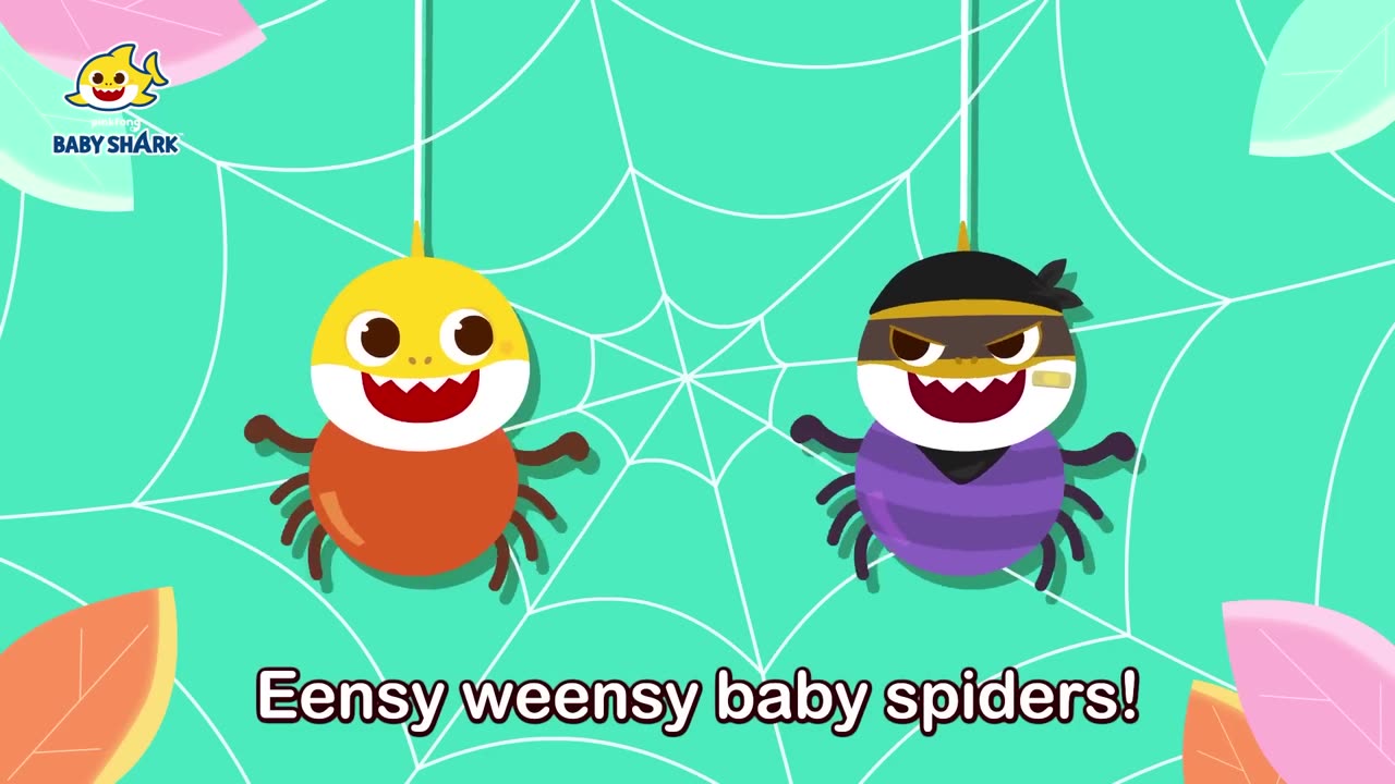 Eensy weensy baby spiders