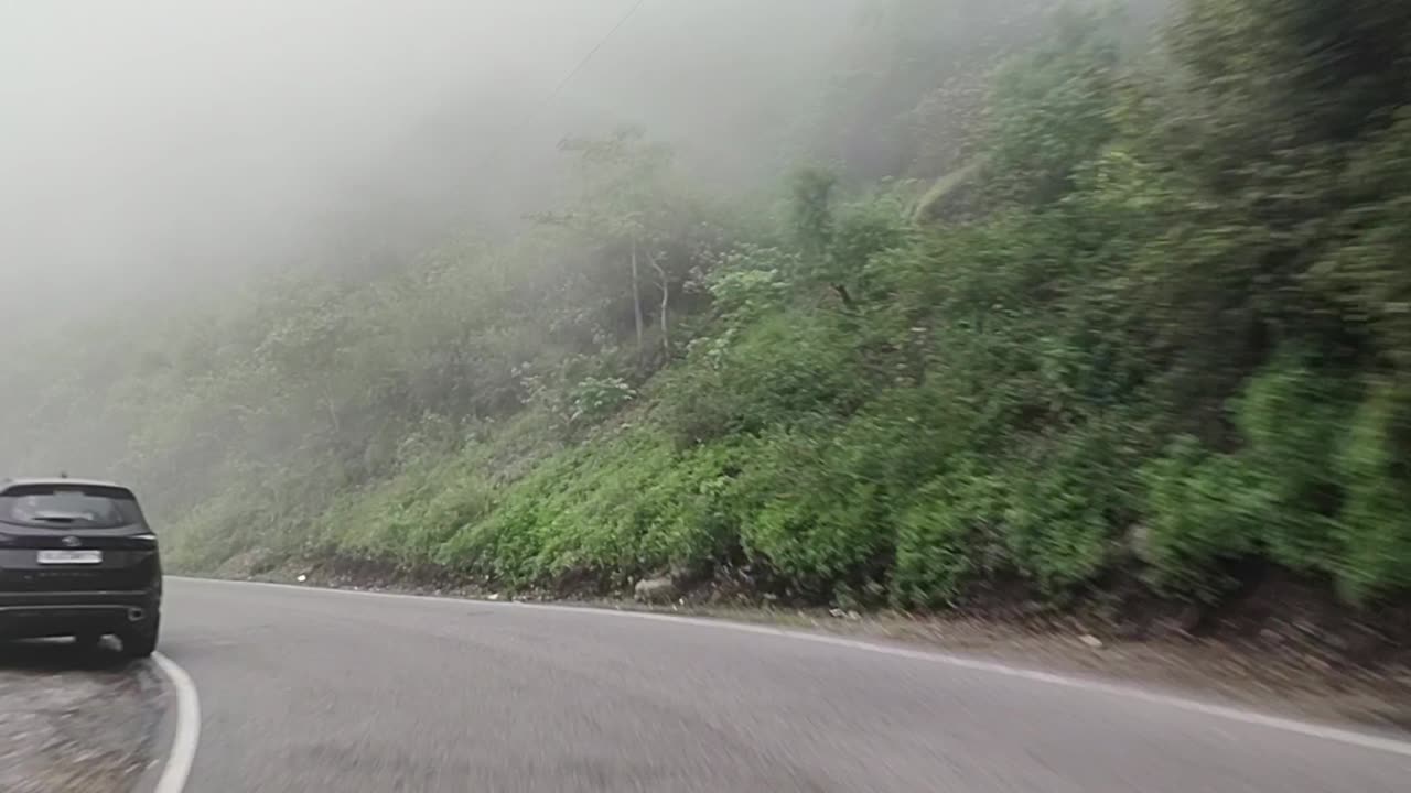 Hills and rain forest