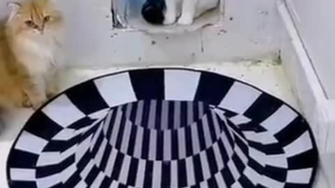 Visual responses of animals
