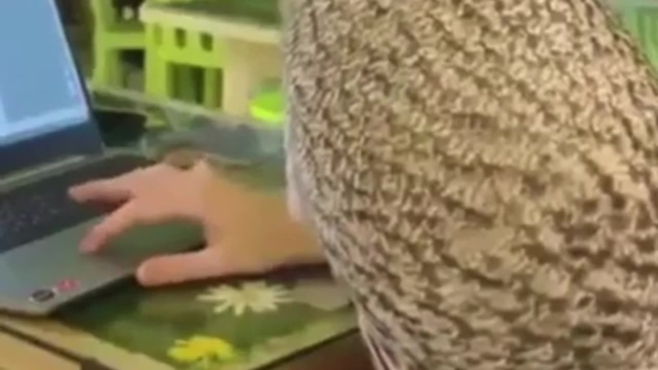 Owl Mastering in Computer #shorts #viral #shortsvideo #video