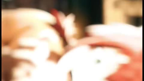 Attack on Titan X Acrade song 4k video