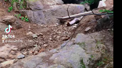 Evans Creek Wa