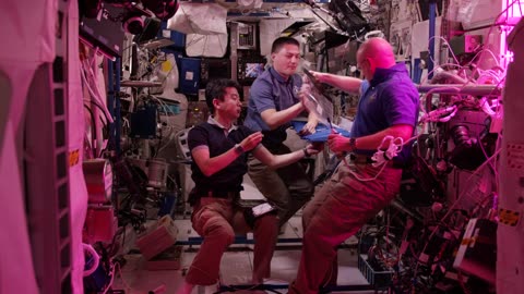 Some species moments | NASA Landing
