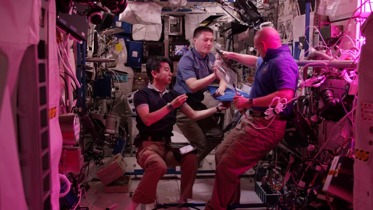 Some species moments | NASA Landing