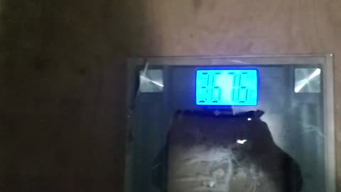 Weigh-In Feb 2, 2024