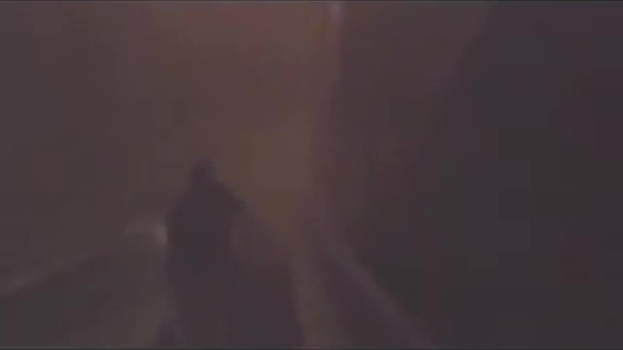 911 KEY WITNESES MURDERED