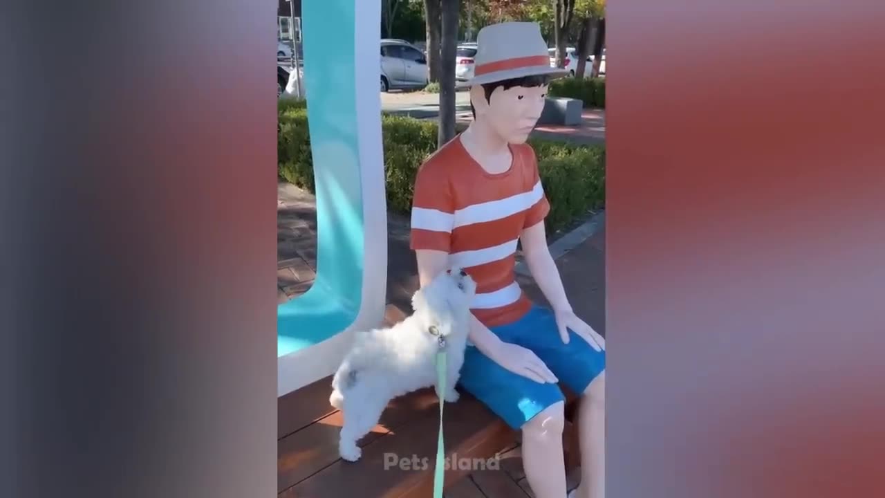 Best Funny Dogs And Cats 😹🐶 -
