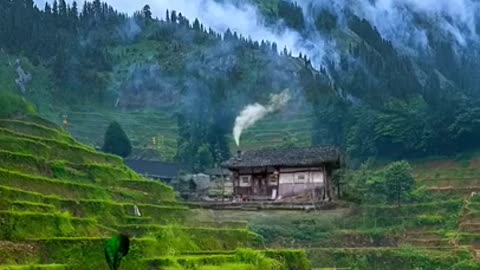 Green nature