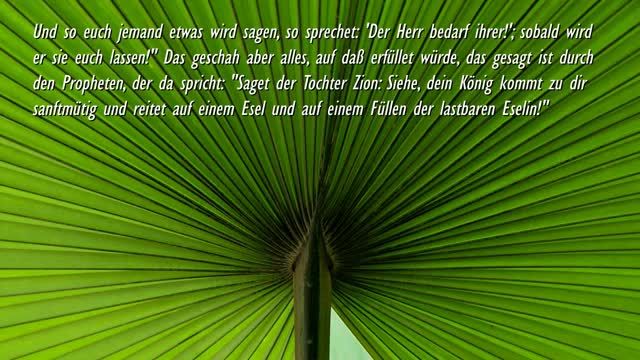 Jesu Einzug in Jerusalem & In die Herzen der Menschen ❤️ Jesus erläutert Matthäus 211-9