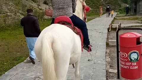 Horse Riding