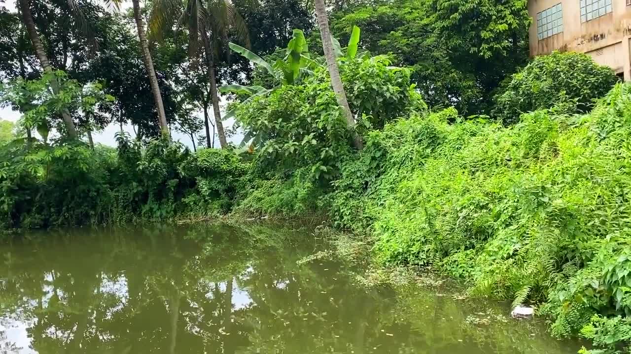 Drive the Muddy Toy Vehicle by hand and threw it into the water for cleaning