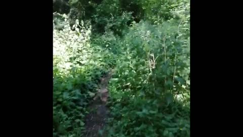 England Nature British Field Nice To Walk There,Landscape