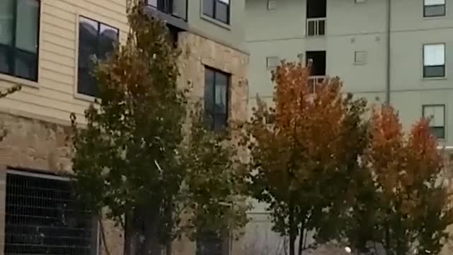 These people had a bad day