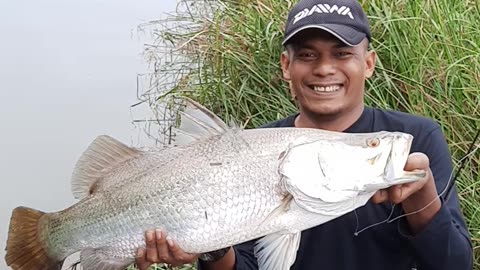 Barramudi fishing