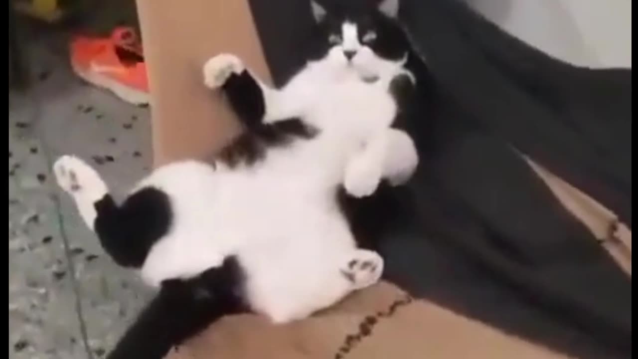 How to chill after a long Monday๐๐
๐