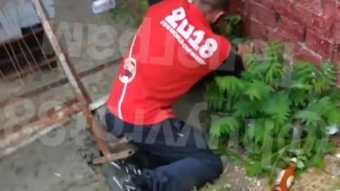 In Krasnodar, a drunk foreign specialist decided to take a piss