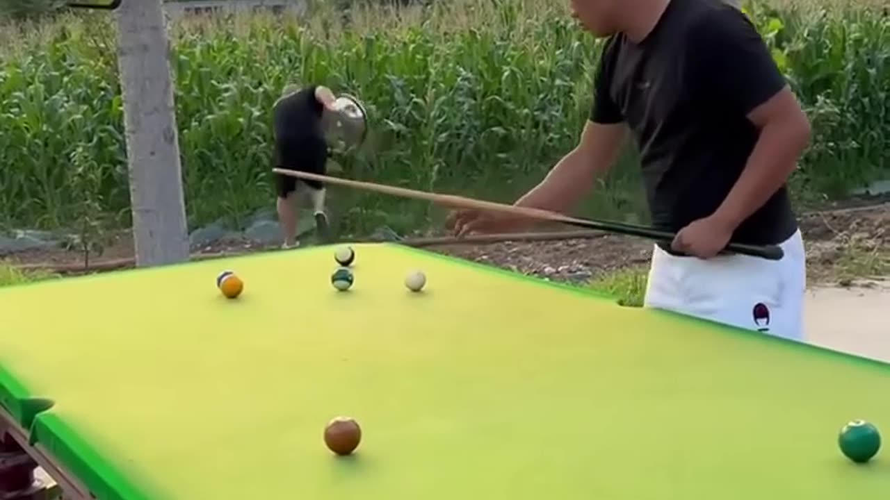 Funny short video 😂😂