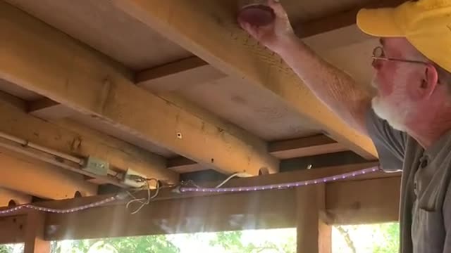 Using Gas to Take Out Wasps