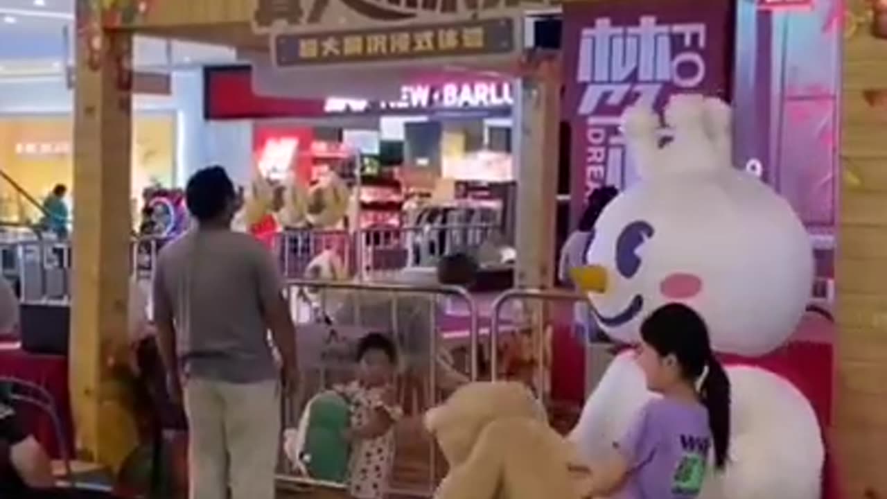 Funny bear & panda short video