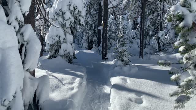 Diamond Sparkle Effect – Central Oregon – Swampy Lakes Sno-Park – 4K