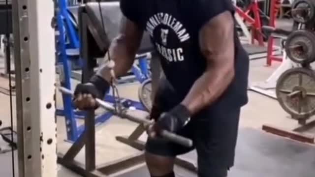 bodybuilding Fitness