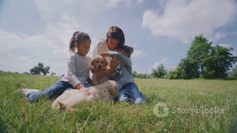 Kids and animals