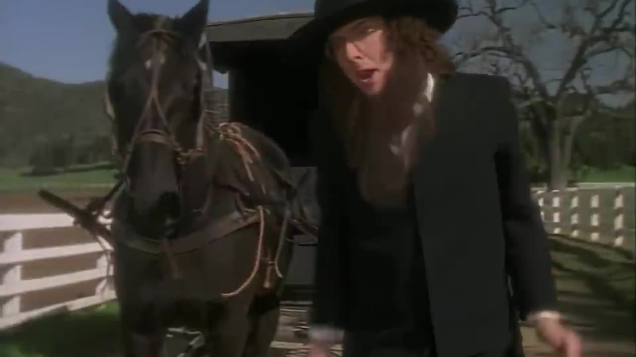 Weird Al Yankovic - Amish Paradise