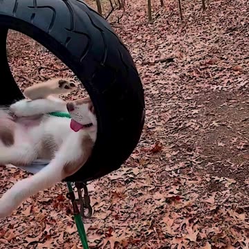 WE ALL DESERVE A BREAK THIS FRIDAY