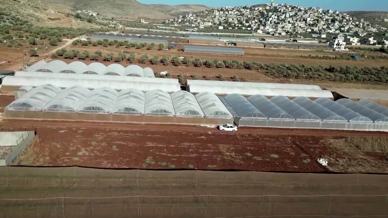 Palestinians deprived of Israeli work permits turn to farming