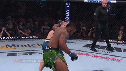 UFC 290 Highlights