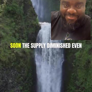 A story about monkeys and cryptocurrency...