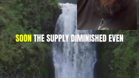 A story about monkeys and cryptocurrency...