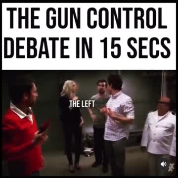 The Gun Control Debate in 15 Seconds