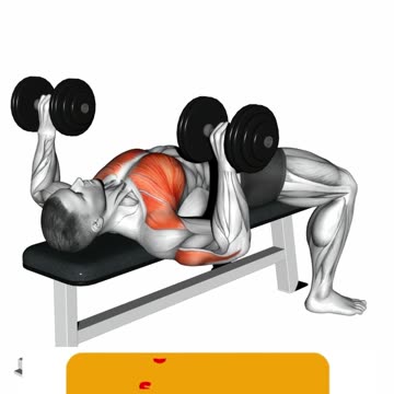 Exercises For Bigger Chest #biggerchest #chestexercises #fitnessgoals #chest #chestday #shorts