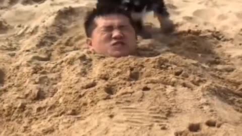 Funniest Dogs And Cats Videos #13 -Best Funny Animal Videos #shorts #animals #dog #cat #pets #short
