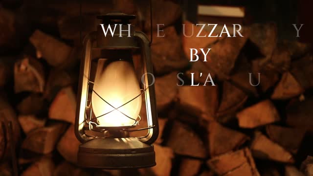 LOUIS L'AMOUR BOWDRIE'S LAW (WHERE BUZZARDS FLY)