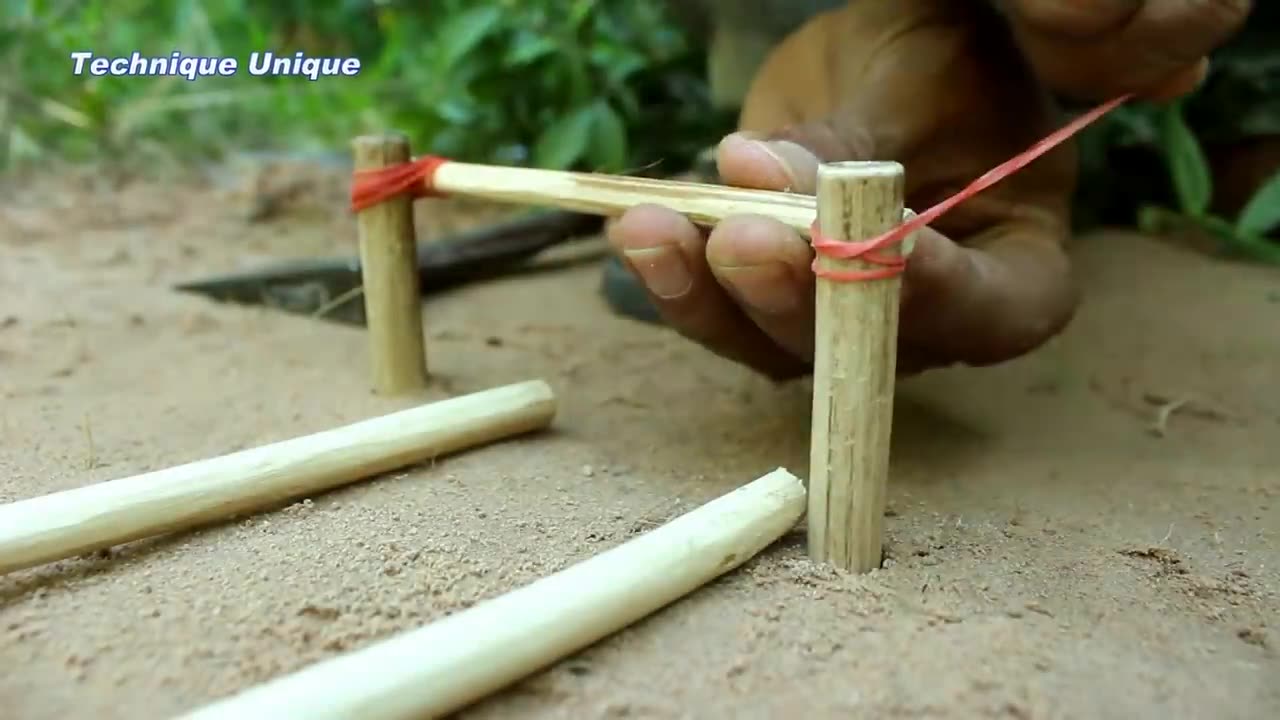 New Creative Unique Bird Trap Using Small Plastic Ball - Rolling Parrot Trap in Hole