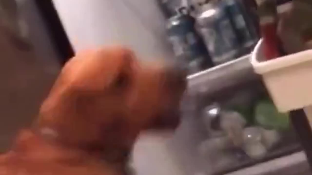 Fetch at Highest Possible Level
