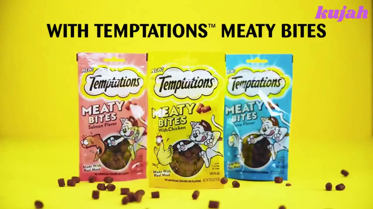 Meaty Bites, Soft and Savory Cat Treats, Salmon Flavor