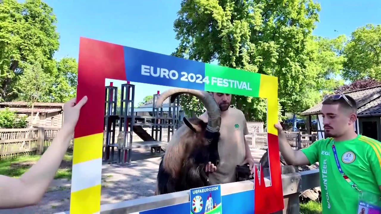 Goat mascot predicts England win over Slovenia