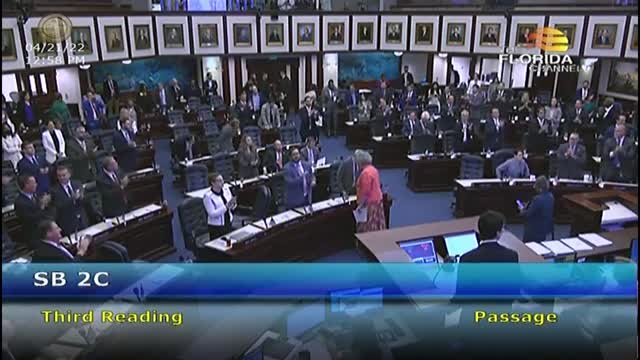 Florida Democrats Meltdown On House Floor As Republicans Pass New Congressional Map