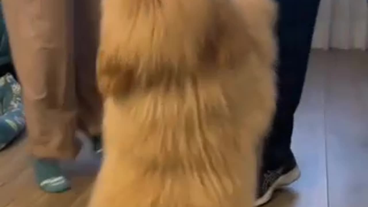 Wow😍